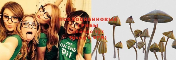 ALPHA-PVP Карпинск