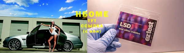 мет Касимов