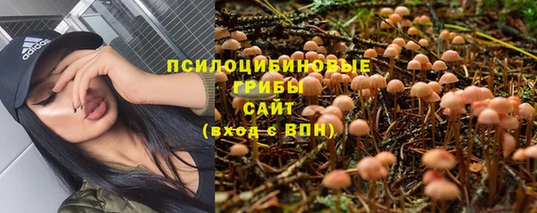 мет Касимов