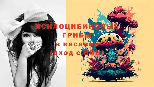 мет Касимов