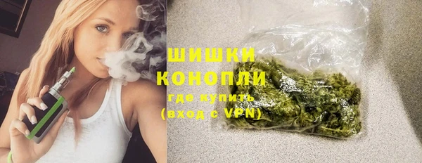 мет Касимов