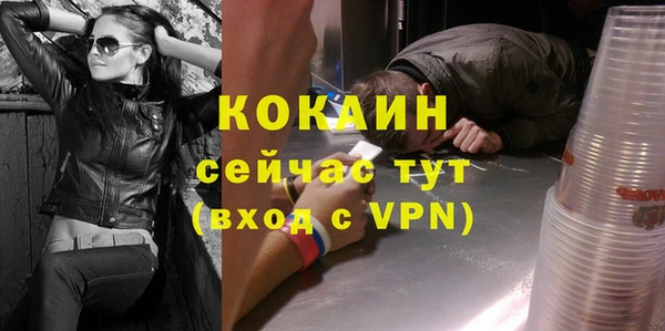 мет Касимов