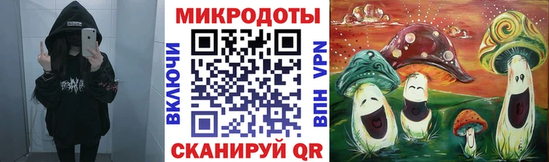 Псилоцибиновые грибы мухоморы цены blacksprut Норильск